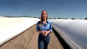 Ukrainian farmers use temporary storage to revive grain exports