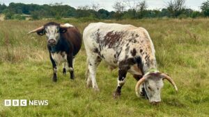 Nature spaces 'need to be next to where people live'