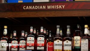 What tariffs will really cost Canadians and Americans