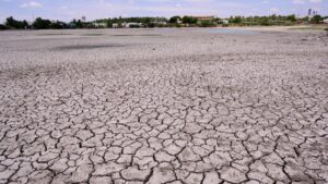 Tamil Nadu among pronounced drought hotspots as South Peninsular India sees strongest drought trend: study