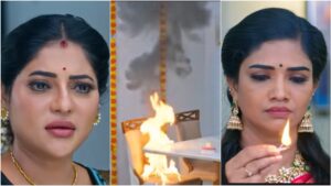வசமாக சிக்கிய சந்திரகலா.. சொந்த வீட்டையே கொளுத்த சொன்ன சாமுண்டீஸ்வரி.. கார்த்திகை தீபம்