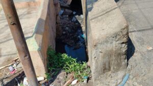 Sewage stagnation near Chitlapakkam Lake raises concern