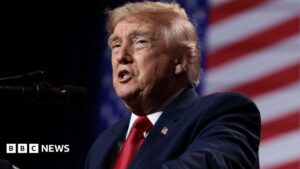 Trump's comments on a united Ireland may have targeted audience across the Atlantic
