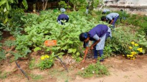 Green School initiative completed in 11 government schools in Cuddalore district