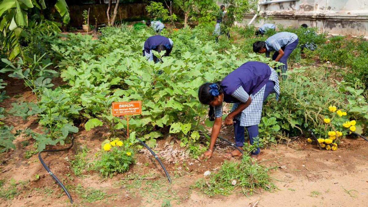 Green School initiative completed in 11 government schools in Cuddalore district