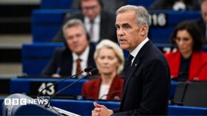 Warm words on Canada's EU 'associate membership' but no guarantees