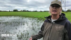 Burst pipe floods wildlife meadow for fourth time