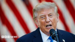 Iran war won't end until after crucial November elections, says Trump