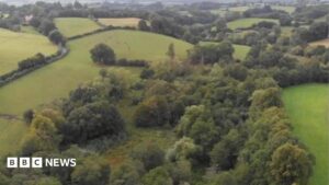 Nature reserve to double in size, thanks to gift