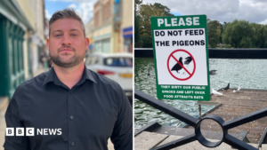 Town gets in a flap over High Street pigeon mess