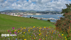 Douglas Head designated a Conservation Area