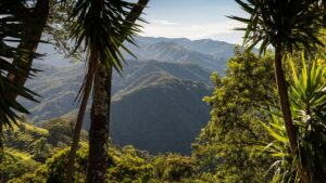 7 Best Places in Costa Rica for Surfing, Sloth Sightings, and Tico Cuisine
