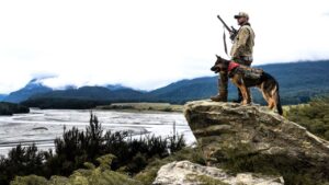 In Heart of the Beast, New Zealand's South Island Makes a Compelling Dupe for Alaska