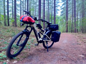 Can ‘eSUV’ e-bikes really go from trail to town?