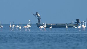 Pulicat fishermen urge T.N., Andhra govts. to demarcate fishing grounds using GPS