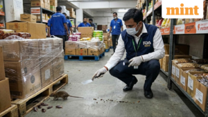 Tukaram Mundhe-led Maharashtra FDA raids Swiggy Instamart, Amazon warehouse in Mumbai: Rat, cockroaches found