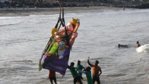 ‘What did you do in the past year?’ NGT asks Tamil Nadu govt. over Vinayaka idol immersion preparedness
