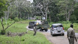 Tiger that killed two people in O’Valley in Gudalur captured