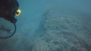 Torpedo jar fragment, ring wells found in underwater archaeological exploration off the Poompuhar coast in  Mayiladuthurai district