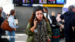Flight chaos caused by 'millisecond' software defect, report says