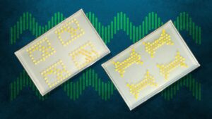 MIT turns bacteria into living transistors