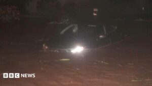 Watch: Downed trees and flooding as Hurricane Lowell batters western Hawaii