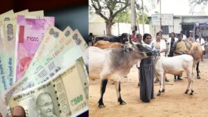 விவசாயிகளுக்கு ஹிட் நியூஸ்.. ரூ.3000 கோடி வட்டியில்லா கடன்! யாருக்கு கிடைக்கும்? தர்மபுரி ஈரோடு குஷி