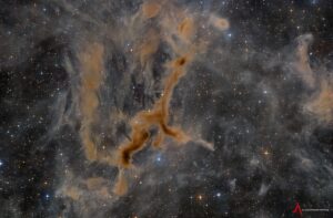 APOD: 2026 September 10 – LDN 1295: The Giraffe Nebula