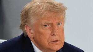 Trump Calls AI Safety Warnings a 'Hoax,' Refuses to Back Guardrails Anthropic and OpenAI Insist Are Needed to Help Prevent Human Extinction