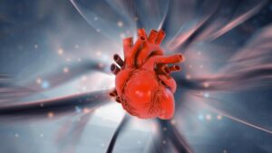 Chronic stress may be quietly reshaping your heart