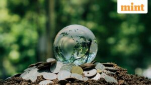 There may be a case to rebalance climate spending but the energy transition must go on
