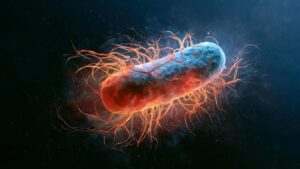 Scientists gave worms magnetic bacteria. They lived 43% longer