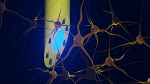 Scientists create a needle-thin brain implant that can do three jobs at once