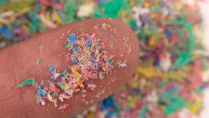 This popular fermented food may help flush nanoplastics from the body