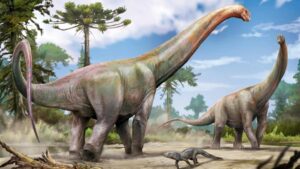 Giant new dinosaur discovered beneath construction site in Brazil
