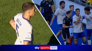 Hampshire Police investigating Bielik incident at Portsmouth