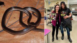 Scientists just named a new snake after Guns N’ Roses legend Slash