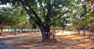தூத்துக்குடி: இடிக்கப்பட்ட விநாயகர் ஆலயம்; கற்பூரம் கொளுத்தி பஜனைப் பாடி வழிபட்டு வரும் ஊர் மக்கள்
