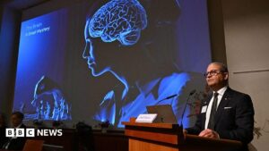 Nobel Prize awarded for showing how nerve cells shape feelings