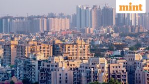 Concrete jungle: The case for expanding public spaces in India's metros