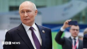Elon Musk is a 'real genius', Putin says after satellite talks with SpaceX boss