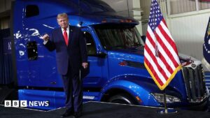 Trump wants to reduce the cost of fuel as the midterms loom – will it work?