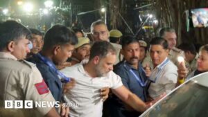 டெல்லியில் 9 மணி நேர தர்ணா: வலுக்கட்டாயமாக வேனில் ஏற்றி அழைத்துச் செல்லப்பட்ட ராகுல் காந்தி விடுவிப்பு