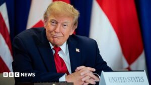 Trump's AI rebrand causes 'unprecedented' demand for Slovenian website names