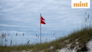 Hurricane Isaias: 63% of Gulf oil output shut in as Florida, Alabama brace for landfall | 5 key updates