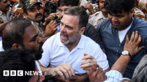 எஸ்.ஐ.ஆர் தொடர்பான எதிர்க் கட்சிகளின் போராட்டம் பற்றி பாகிஸ்தான், பிரிட்டனில் பேசப்படுவது என்ன?