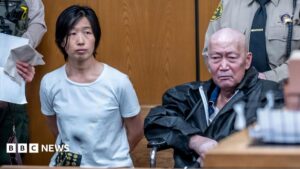 California pair charged with abusing at least 14 surrogate-born children
