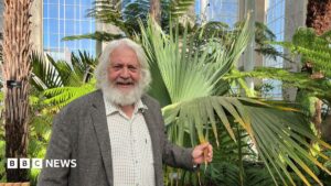 Six years, hundreds of plants and one tree casualty – Edinburgh's Palm House returns