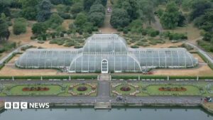 How to move 1,300 plants for Kew's Palm House mega makeover