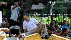 Indian opposition MPs detained in protest against election chief